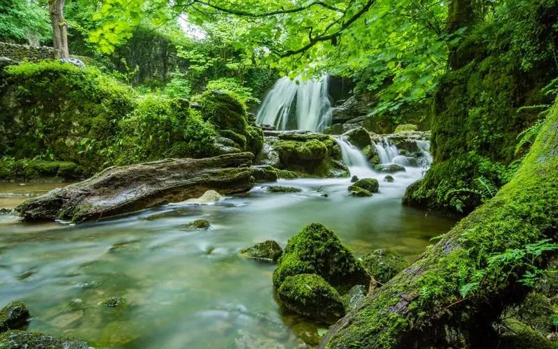 高效独特智慧工厂